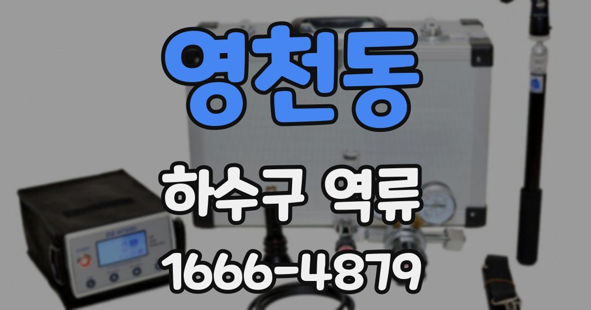 영천동 하수구 역류