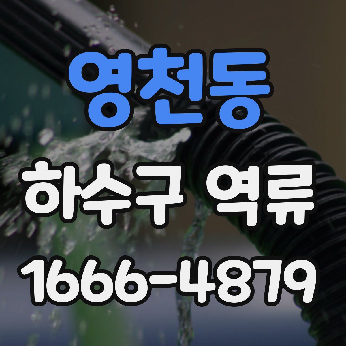 영천동 하수구 역류