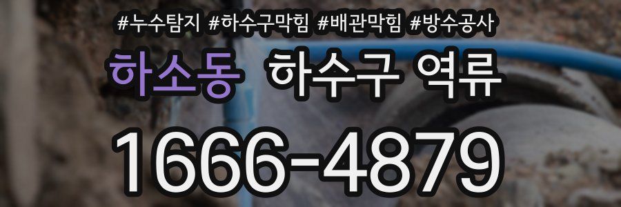 하소동 하수구 역류