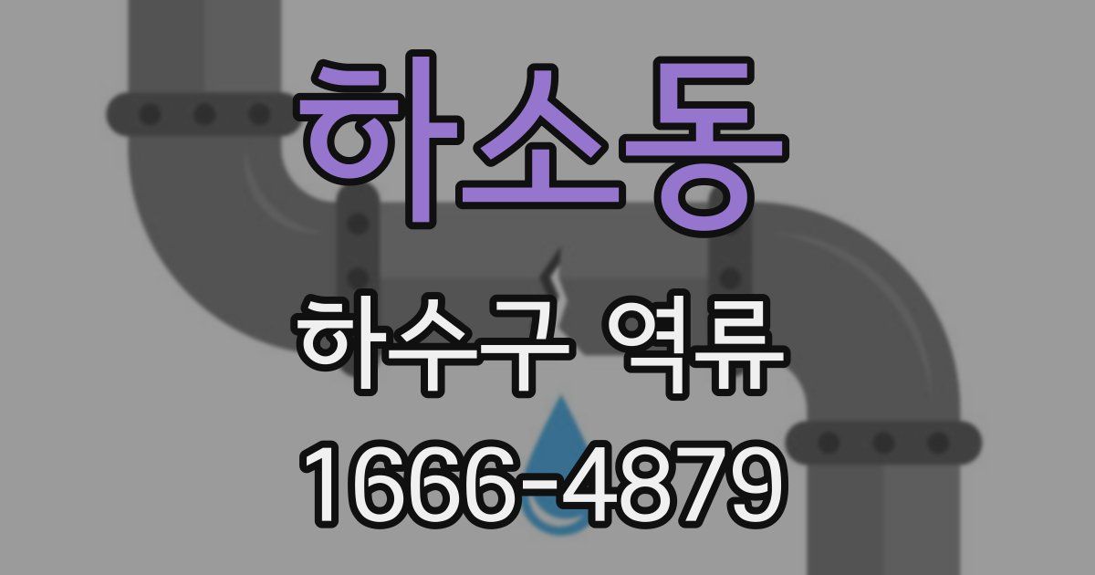하소동 하수구 역류