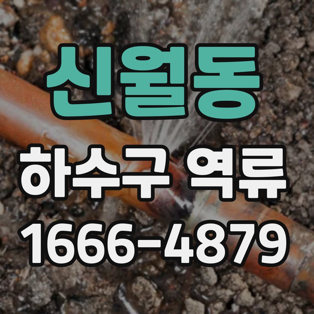 신월동 하수구 역류