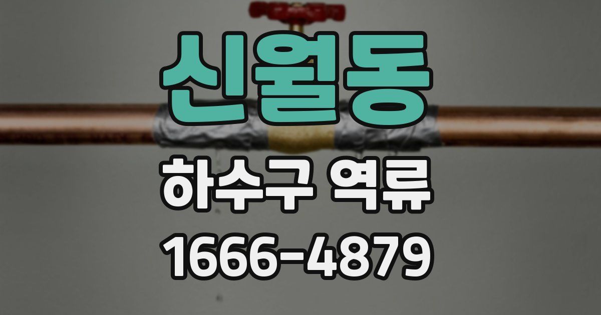 신월동 하수구 역류