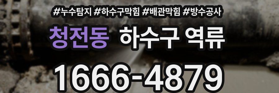 청전동 하수구 역류