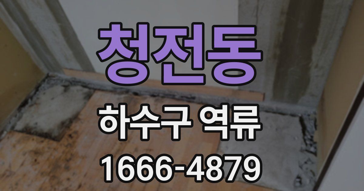 청전동 하수구 역류