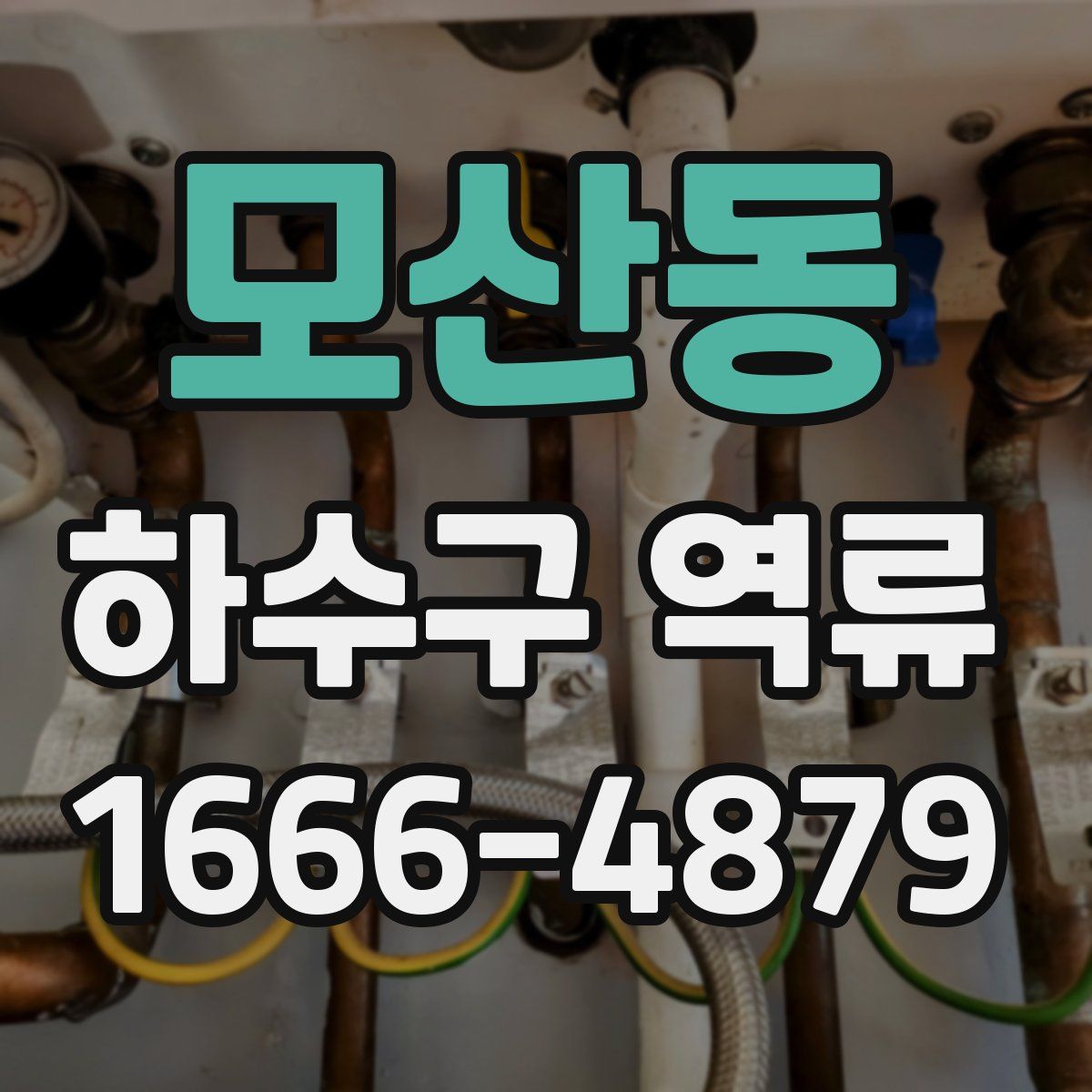 모산동 하수구 역류