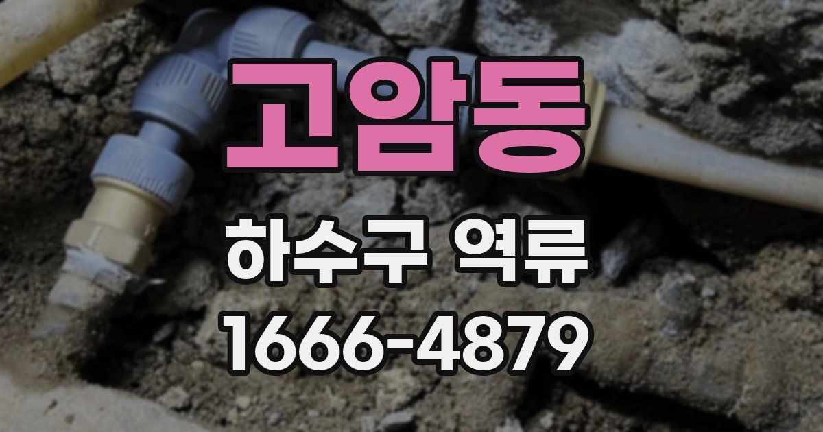 고암동 하수구 역류