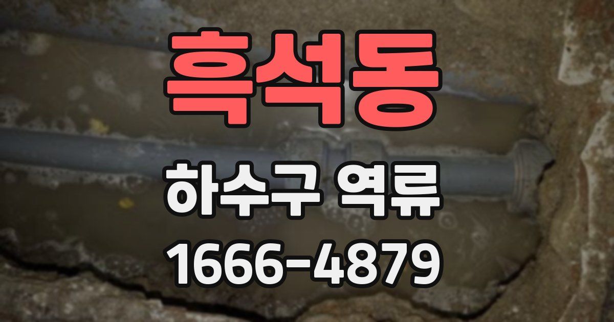 흑석동 하수구 역류