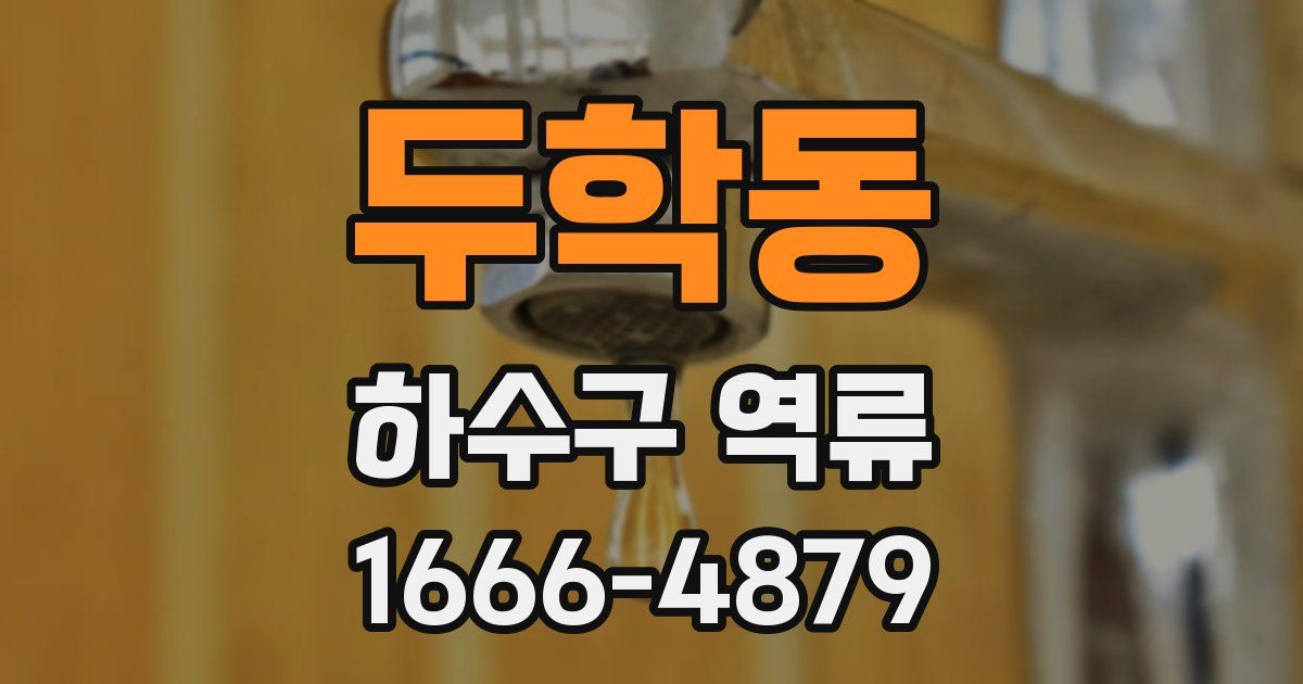 두학동 하수구 역류