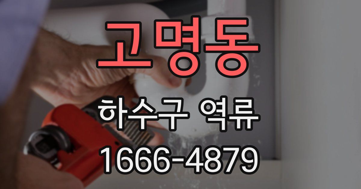 고명동 하수구 역류