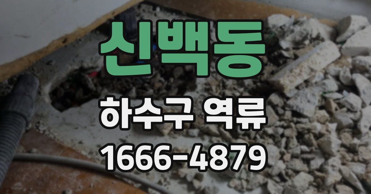 신백동 하수구 역류