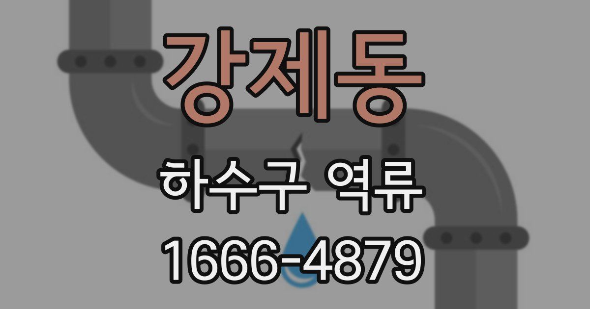 강제동 하수구 역류