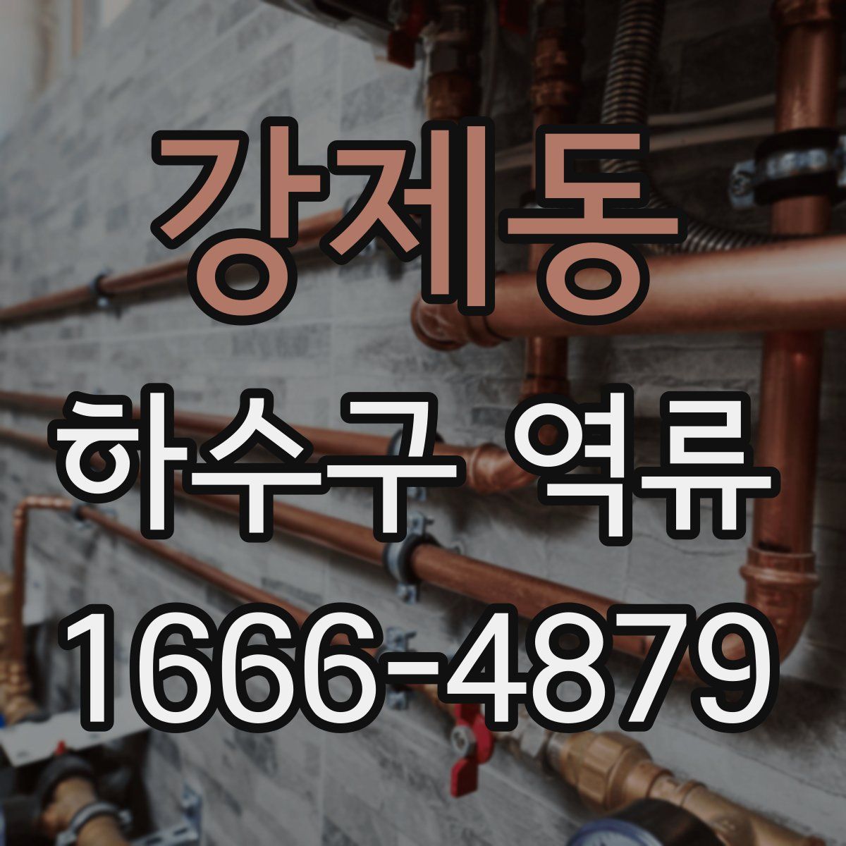 강제동 하수구 역류