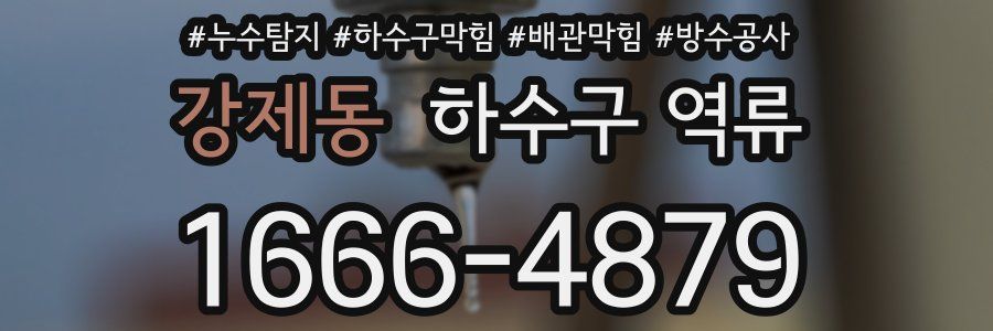 강제동 하수구 역류