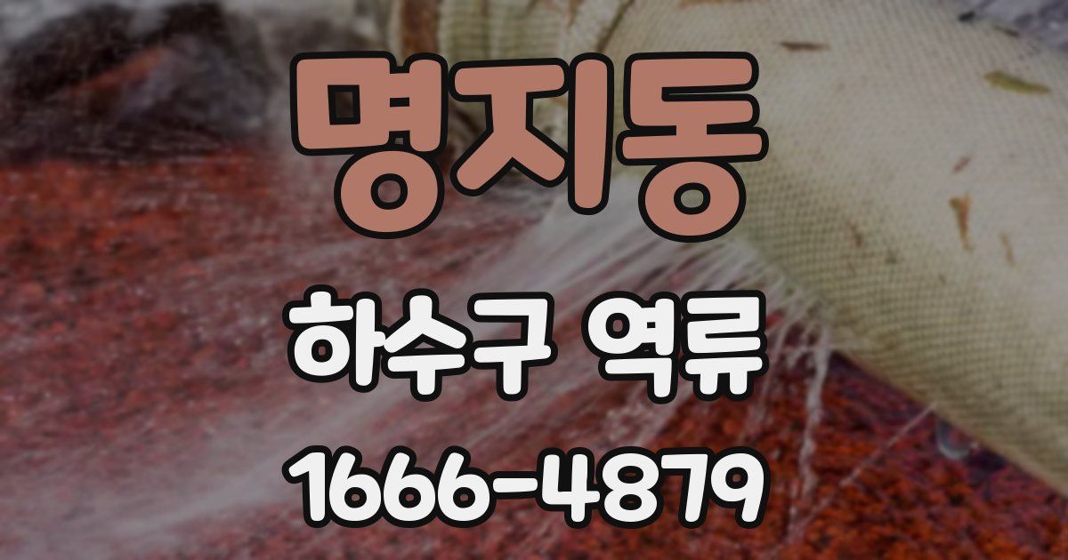 명지동 하수구 역류