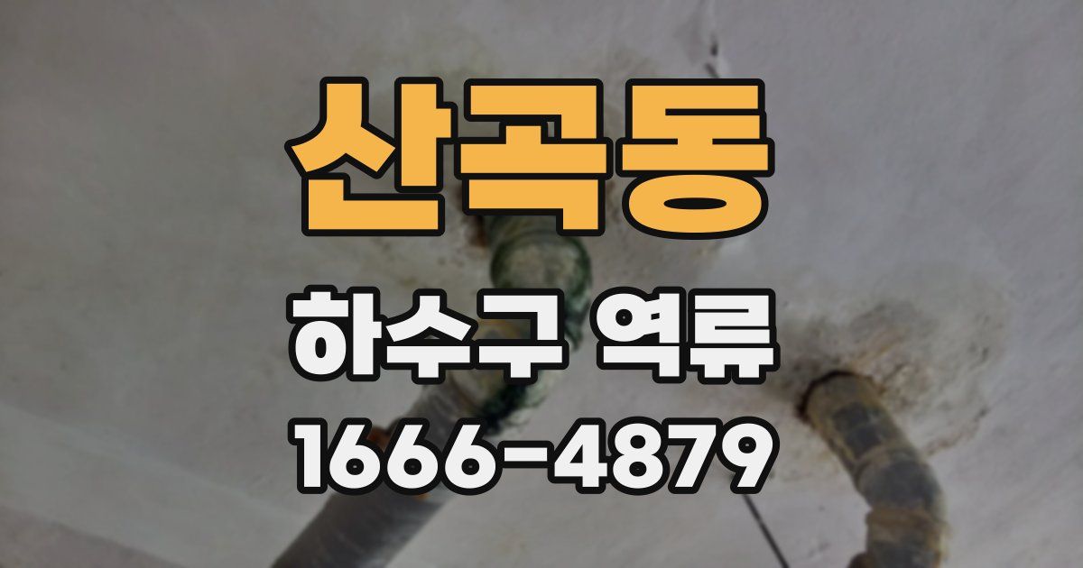 산곡동 하수구 역류