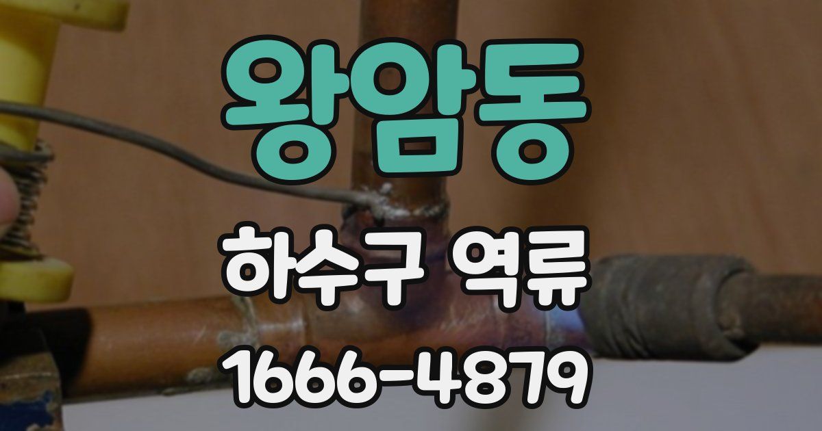왕암동 하수구 역류