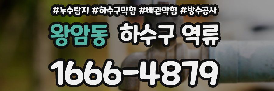 왕암동 하수구 역류