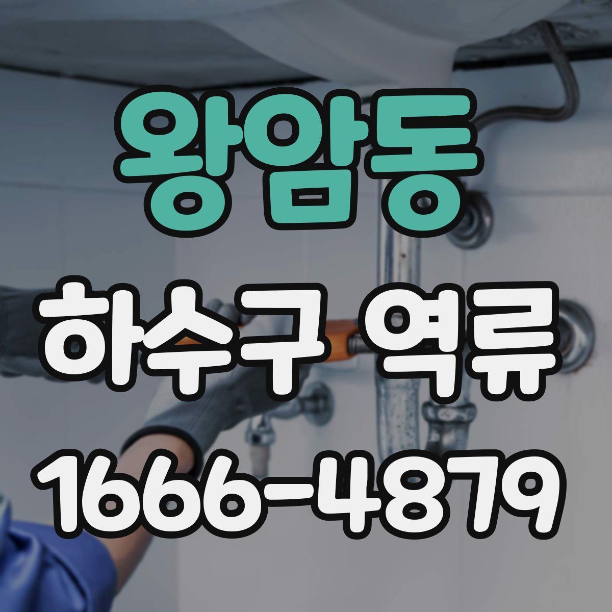 왕암동 하수구 역류