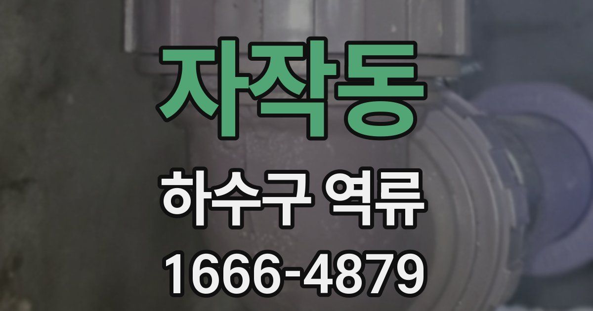 자작동 하수구 역류
