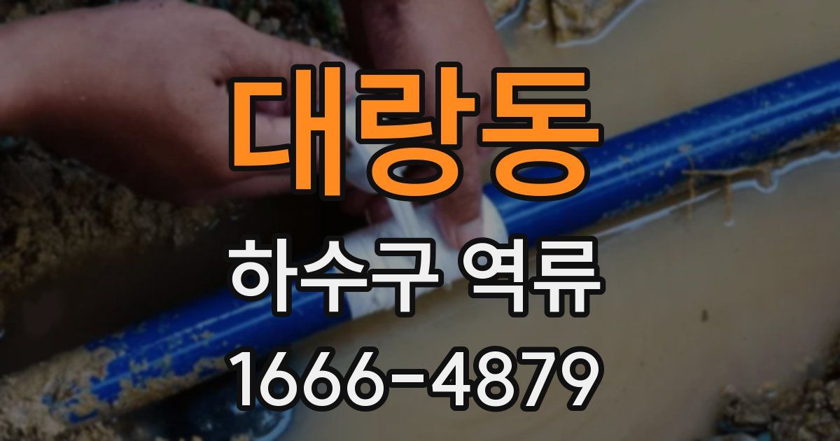 대랑동 하수구 역류