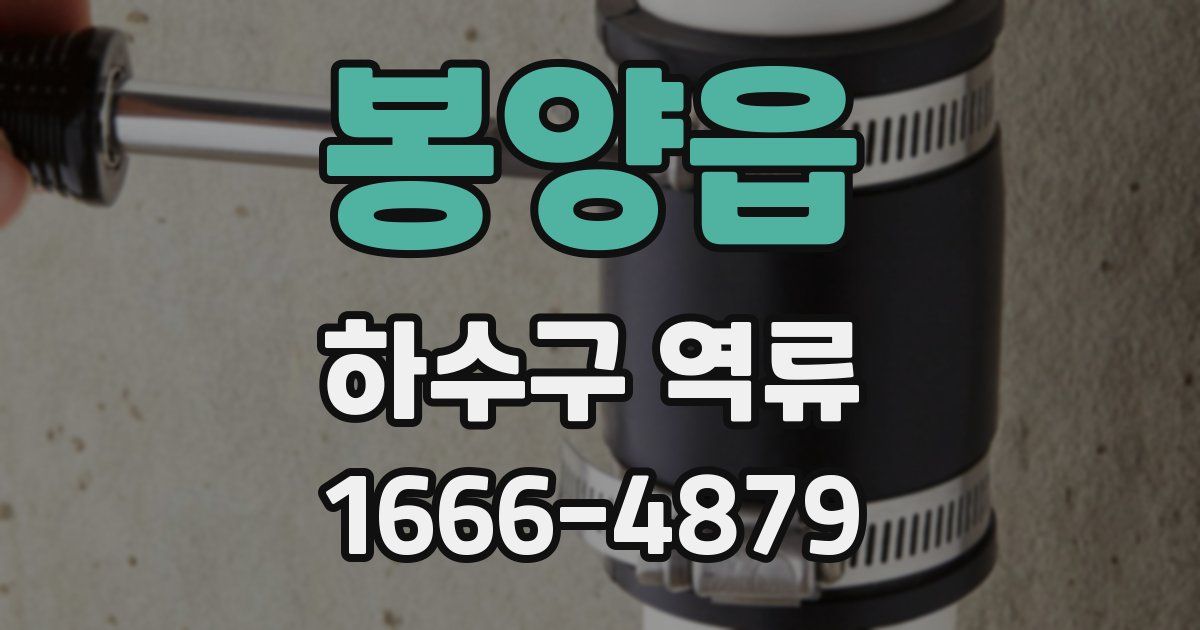 봉양읍 하수구 역류