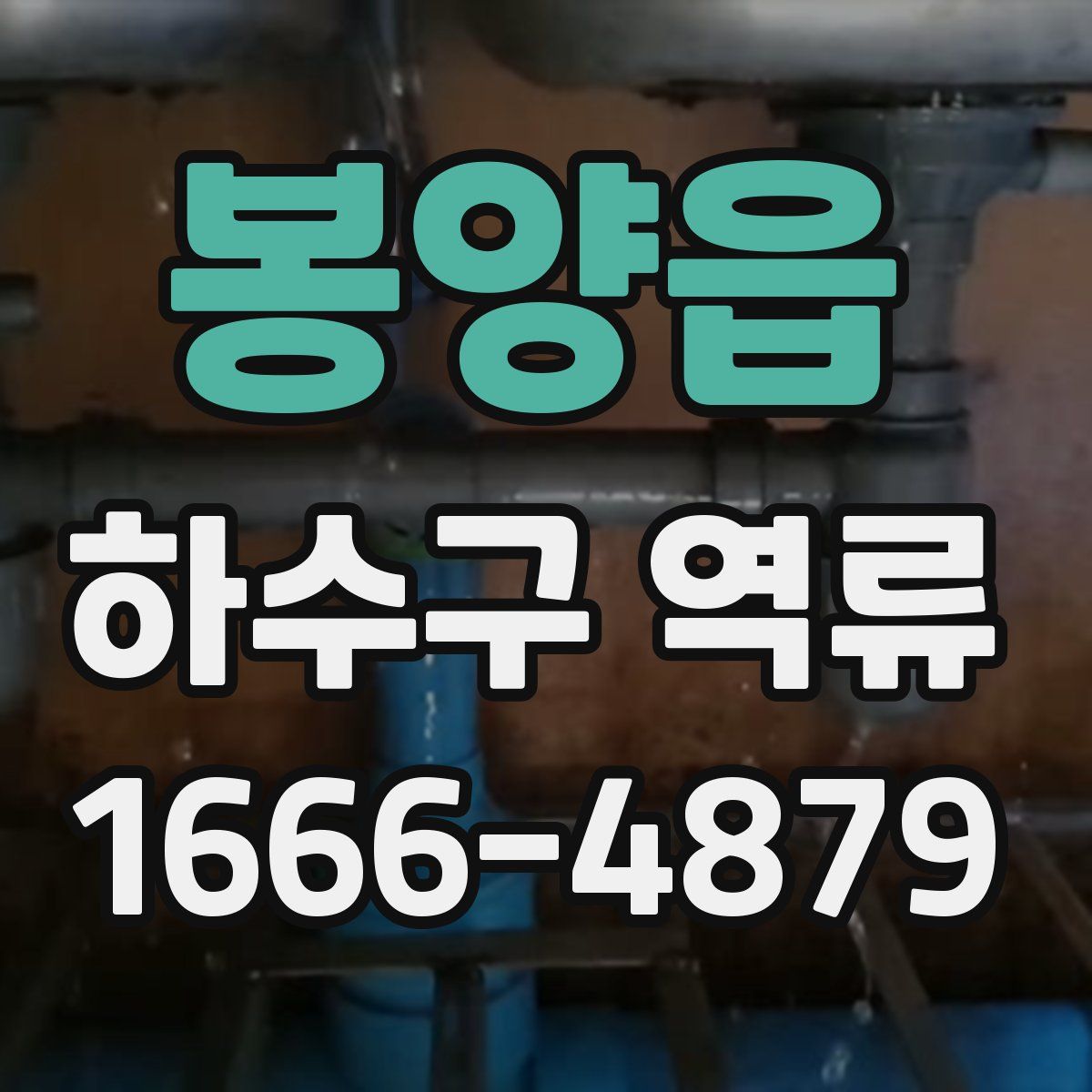 봉양읍 하수구 역류