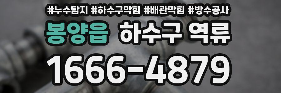 봉양읍 하수구 역류