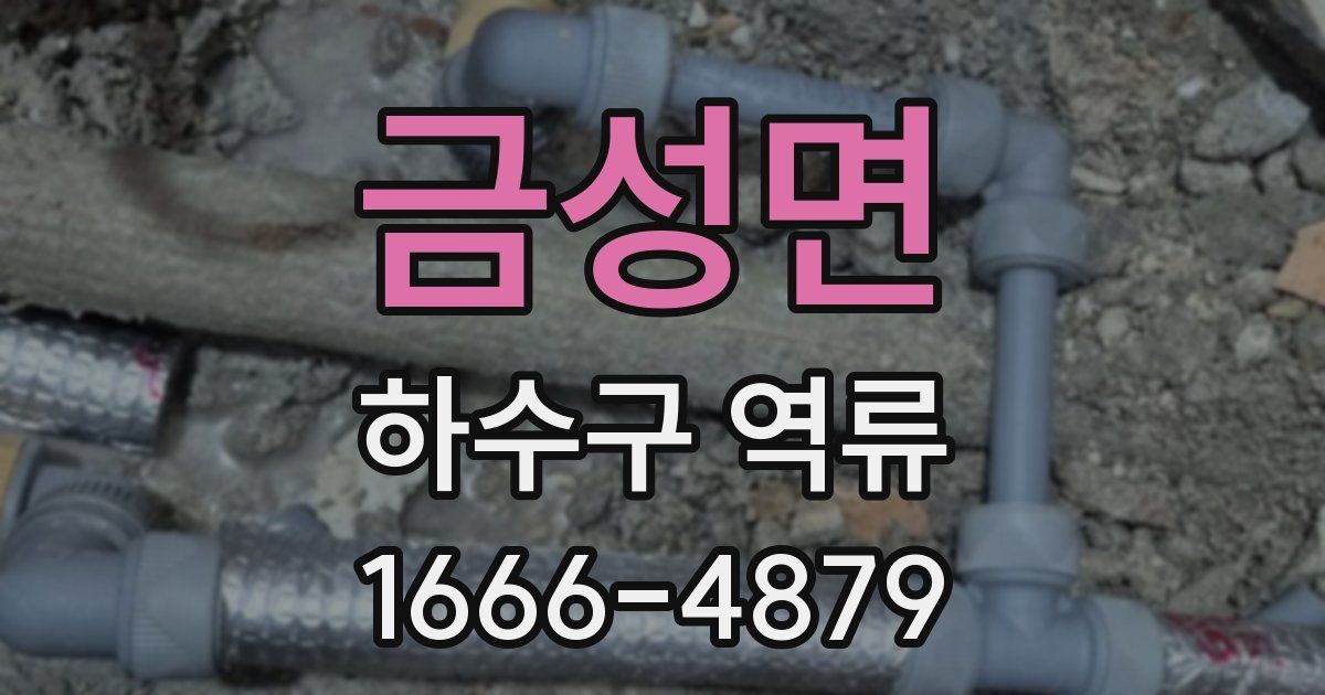 금성면 하수구 역류