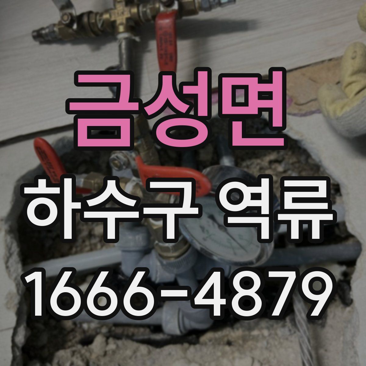 금성면 하수구 역류
