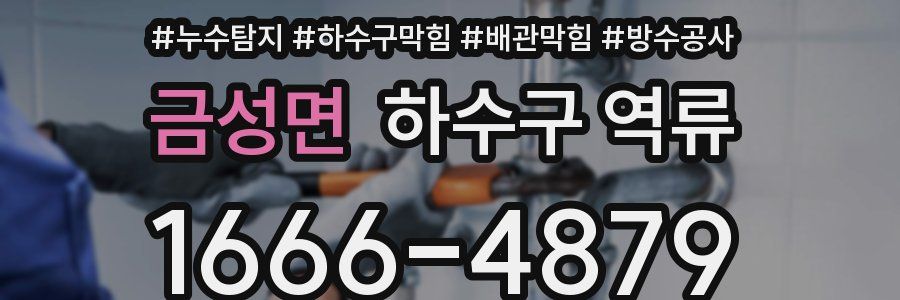 금성면 하수구 역류