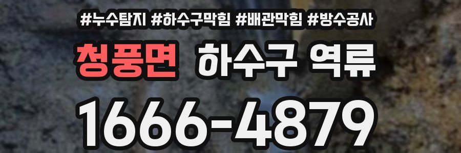 청풍면 하수구 역류