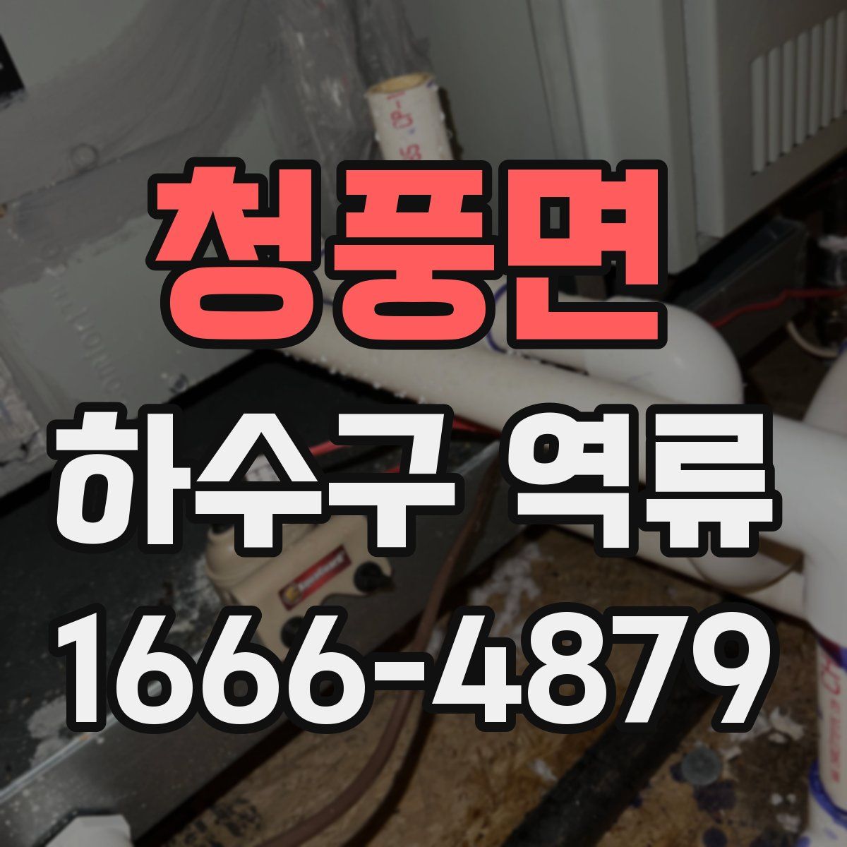 청풍면 하수구 역류