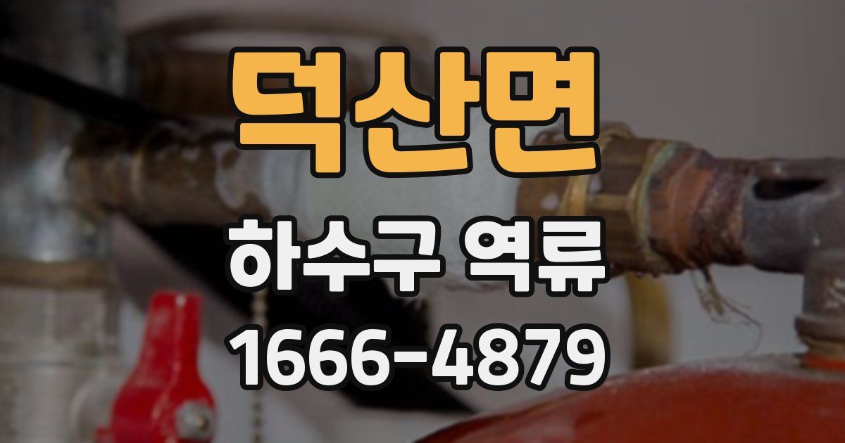 덕산면 하수구 역류