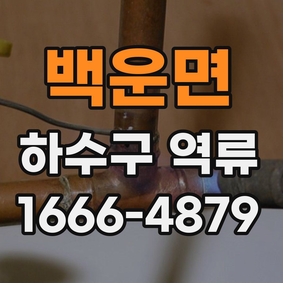 백운면 하수구 역류