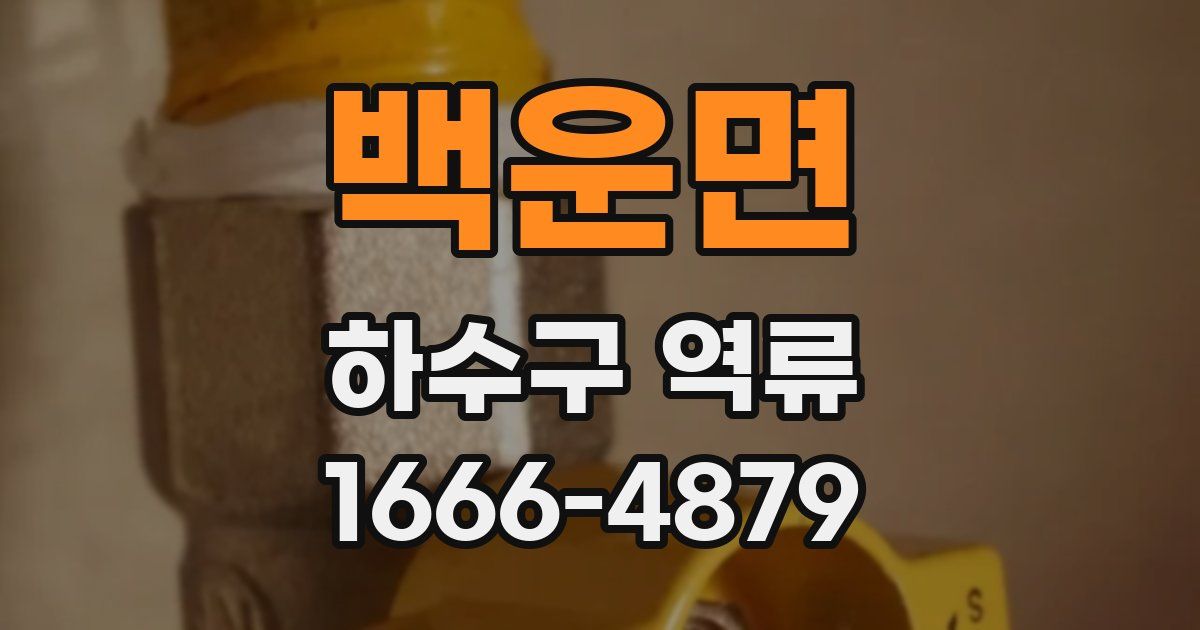 백운면 하수구 역류