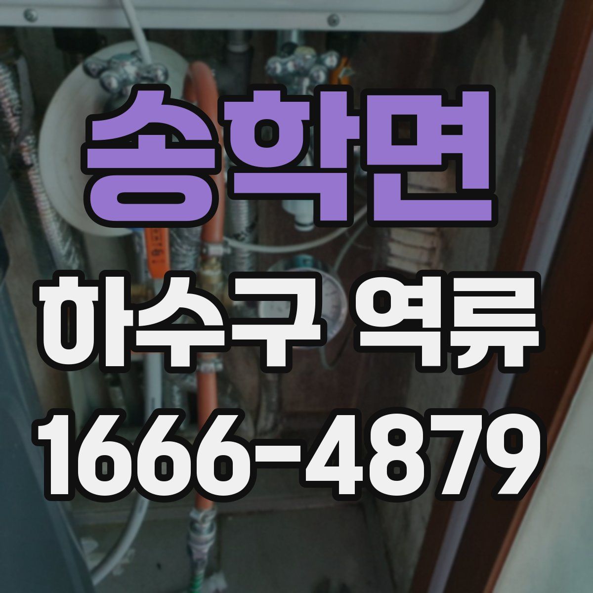 송학면 하수구 역류
