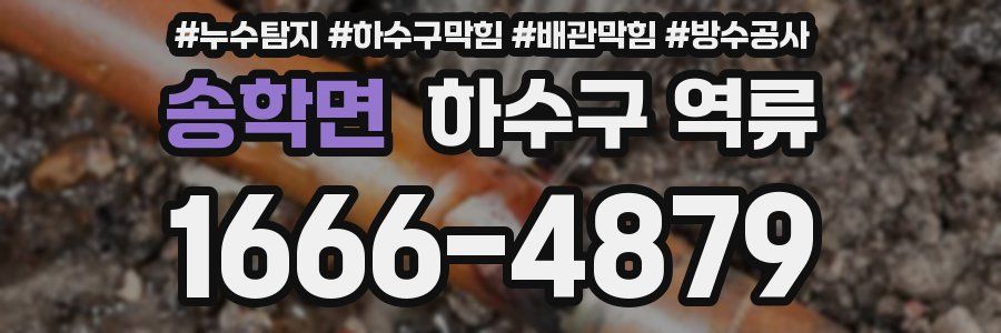 송학면 하수구 역류