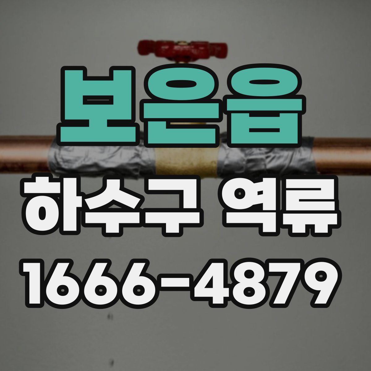 보은읍 하수구 역류