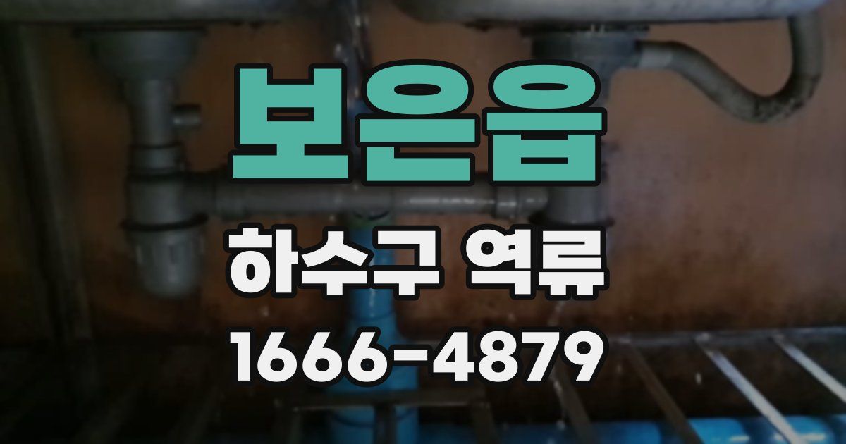 보은읍 하수구 역류