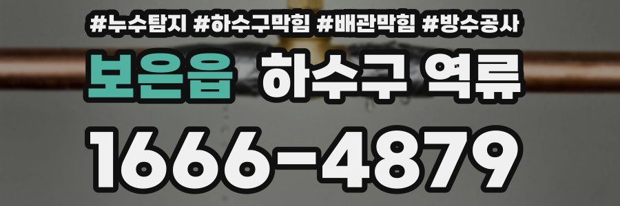 보은읍 하수구 역류