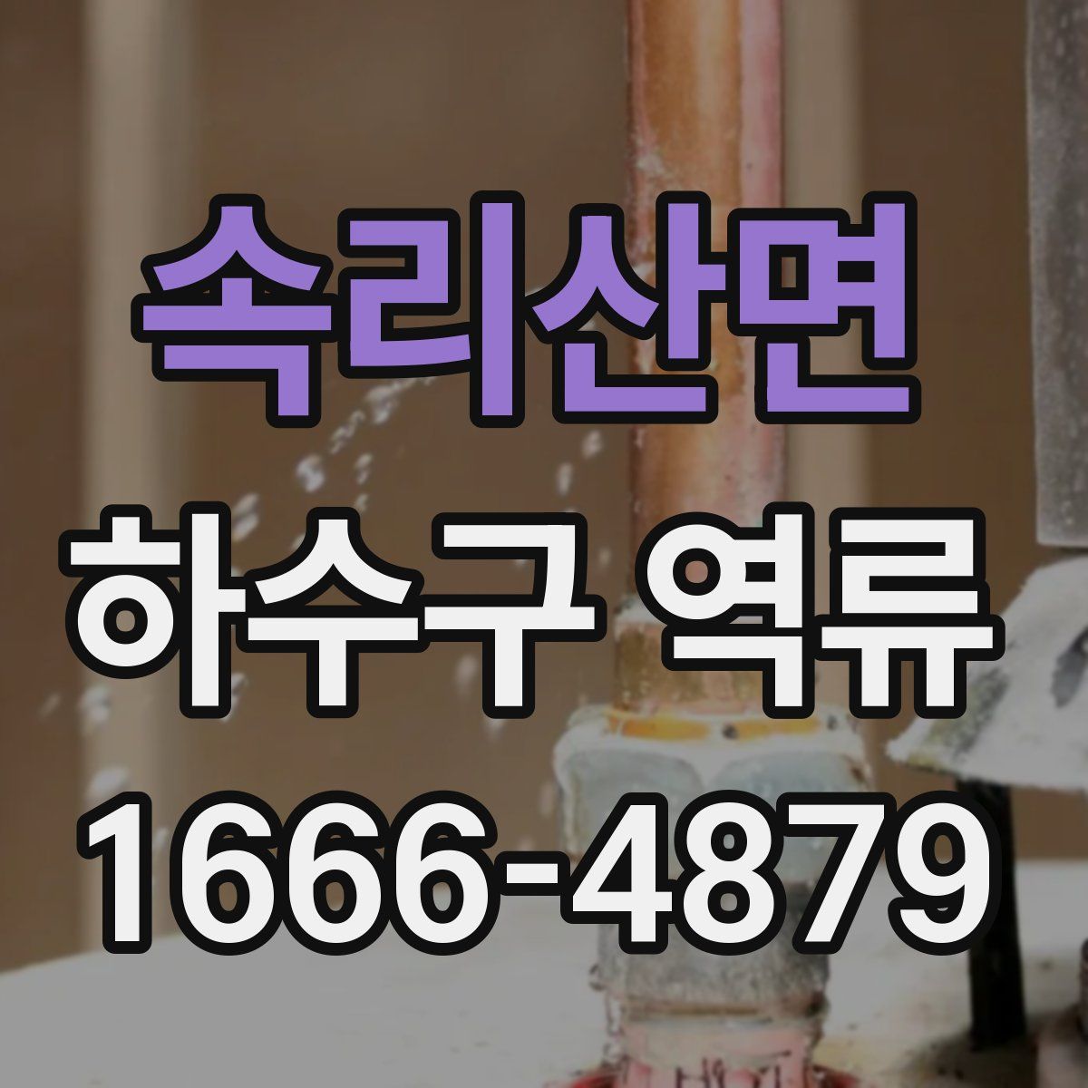 속리산면 하수구 역류