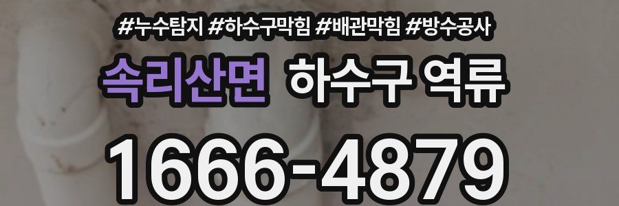 속리산면 하수구 역류