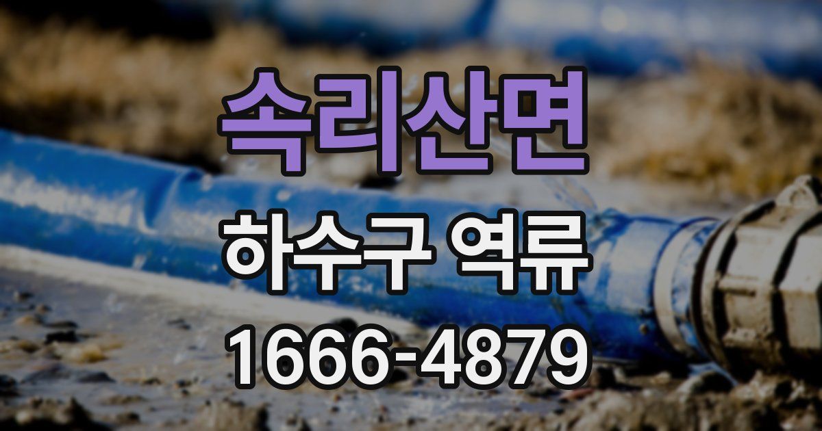 속리산면 하수구 역류