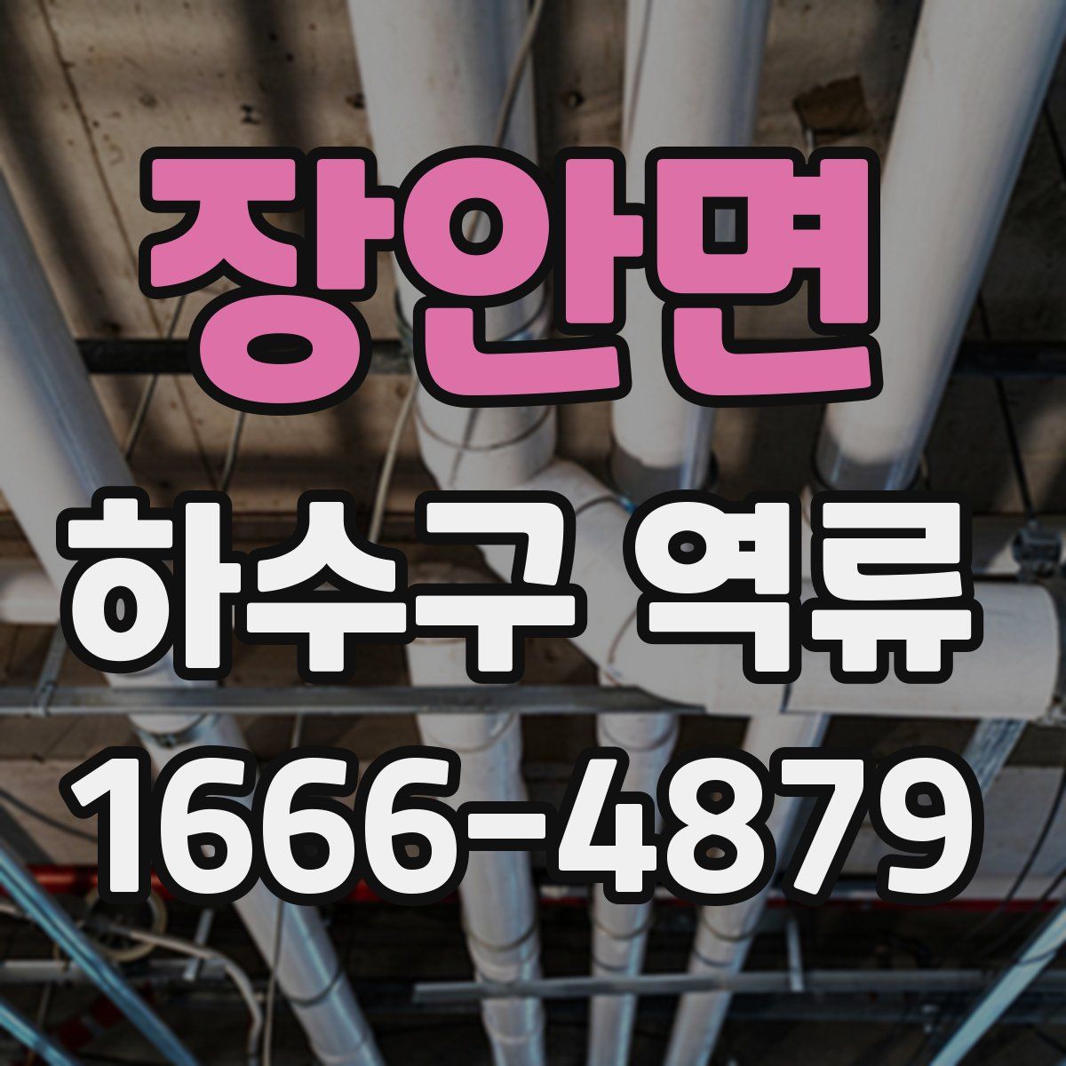 장안면 하수구 역류