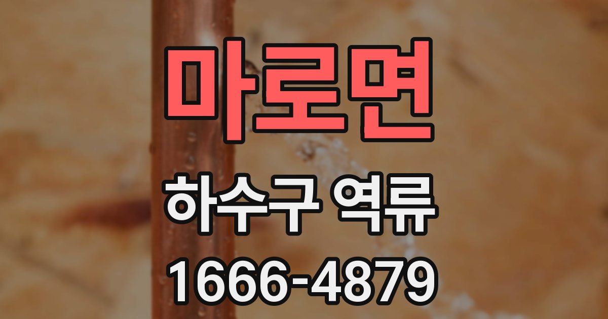 마로면 하수구 역류