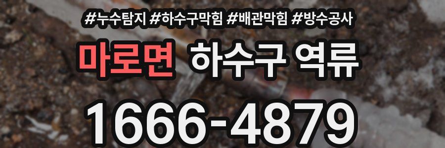 마로면 하수구 역류