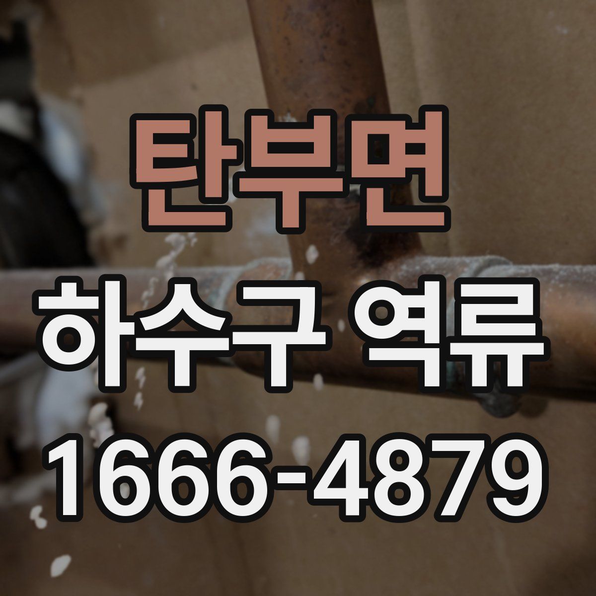탄부면 하수구 역류