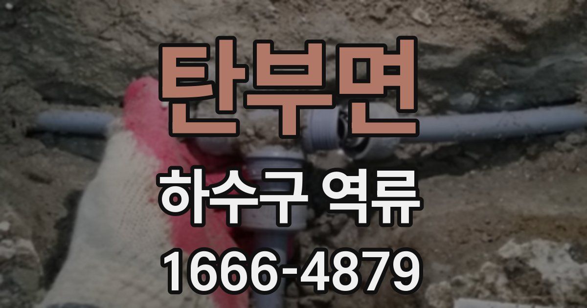 탄부면 하수구 역류