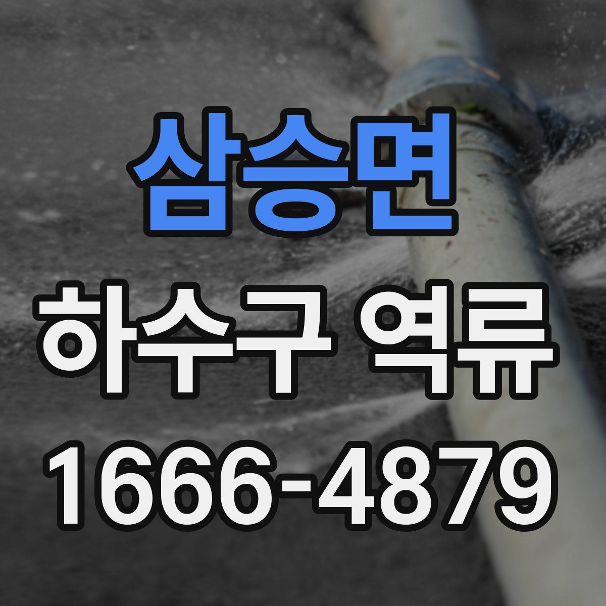 삼승면 하수구 역류