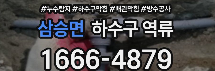 삼승면 하수구 역류